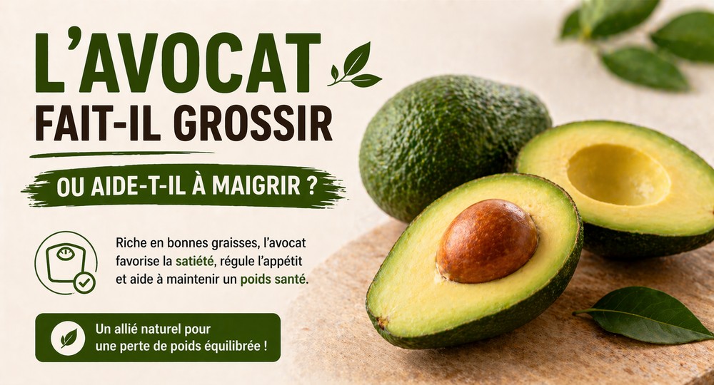 Pourquoi l’avocat ne fait pas grossir