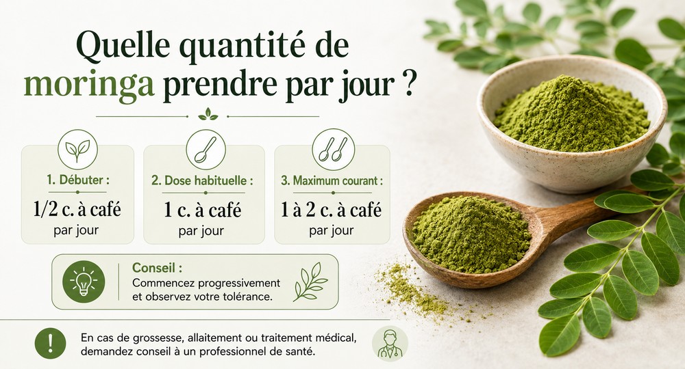 quantité moringa par jour